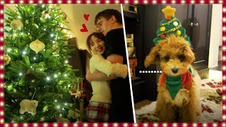 Decorating Christmas Tree & Puppy Costumes!🎄