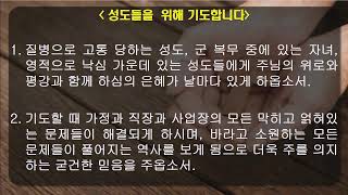 영월제일교회예배실황