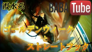 BABATube【霞水系】GWの流入河川パワーフィネス！