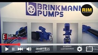 BRINKMANN PUMPS