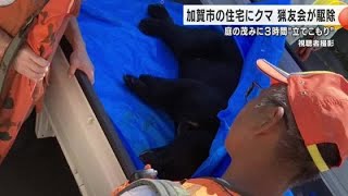 住民「いつまでこのままなんかと…」住宅敷地内に“クマ”約3時間居座る 体長約1mのオスで猟友会が駆除 (2024年10月10日)