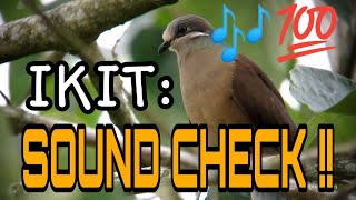 SOUND CHECK PARA KAY IKIT !! | Huni ng Ibong Alimokon | White Eared Brown Dove | Kautol