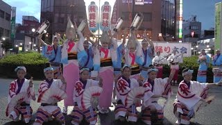 2016　久米川阿波踊り大会　阿波踊り飛舞枝　組踊り