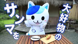 太田胃にゃんのにゃんにゃんクッキング🍳さんま🐟さんま🎣さんま三昧！【岩手県編】