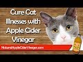 3 Ways to Use Apple Cider Vinegar to Cure Cat Illnesses: Mange, Fleas, Ears, and More 3 Ways to Use Apple Cider Vinegar to Cure Cat Illnesses: Mange, Fleas, Ears, and More