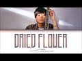 Yuuri 「ドライフラワー」 (Dried Flower) Lyrics  | 1 HOUR TOP 50 日本