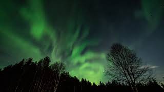 Auroras 3rd of March night at Käylä village, Kuusamo, Finland