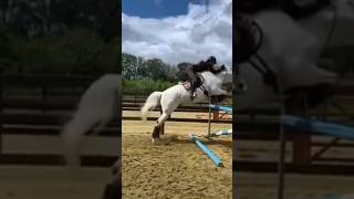 Talented horse 🤩🤩 #animals #horse #youtubeshorts #equestrian #edit #sports #viral #tiktok