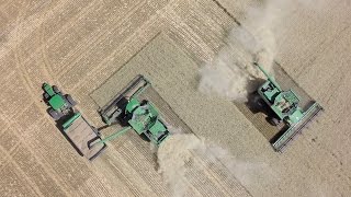 Wheat Harvest in Idaho!