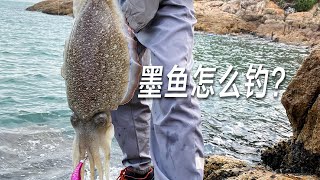 魷魚和墨魚怎麼釣？牠們怎麼區分？這個視頻告訴你