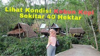 JALAN-JALAN DI KEBUN KOPI SELUAS 40 HEKTAR || PART 12