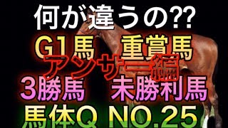 【馬体考察】  一口馬主　G1馬はこの馬！　馬体の見方　馬体Q NO.25  horse race   racehorse Japan