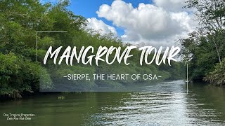 Mangrove Tourism in Sierpe, Costa Rica