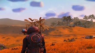 No Man's Sky #10 Feat. Hannah - The Beauty Of Wandering Aimlessly