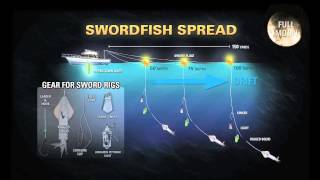 How to Rig for Swordfish at Night