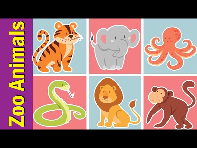 Zoo Animals Vocabulary Chant For Children Fun Kids English Videos