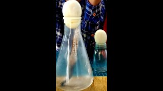 Why Bottle Sucks Egg / Bottle Egg Experiment / Why Egg Pulled Into The Bottle? #shorts