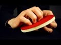 ASMR Scratching session [no talking]