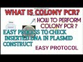 Colony PCR II Why colony PCR is important II Xgene and proteinX