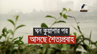 ঘন কুয়াশার পর আসছে শৈত্যপ্রবাহ