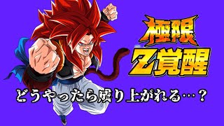 全く使われなかった最強の合体戦士【ドッカンバトル】#ドッカンバトル