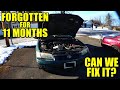 Will it run? Huge oil leak! Major repairs! 98 Camry timing belt, water pump, oil pump & pan gasket!