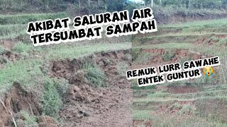 REMOK LORR SAWAHE ENTEK GERI//SALURAN TESUMBAT SAMPAH