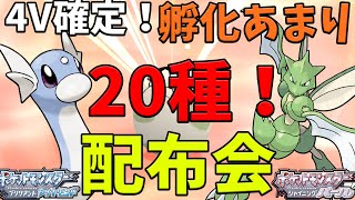 オシャボあり！4V以上確定！孵化あまり交換会！【ポケモンBDSP】