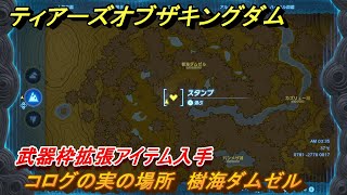 ティアキン　コログの実の場所　樹海ダムゼル　武器枠拡張アイテム入手　＃１４２６　【ゼルダの伝説ティアーズオブザキングダム】