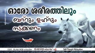 ഒരോ ശരീരത്തിലും ബദ്റും ഉഹ്ദും നടക്കണം | Sufi Thought Malayalam | Islamic speech malayalam