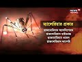 malaria medicine ম্যালেরিয়া মোকাবিলায় আসছে নতুন ওষুধ তৈরি করছে এক ভারতীয় সংস্থা । bangla news