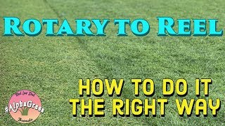 Rotary to Reel Mowing | How to do it Right | Golf Course Lawn