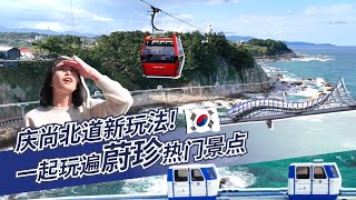 【TK Travel】玩遍庆尚北道蔚珍 一起来感受东海海洋的迷人魅力吧~