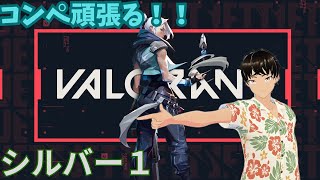 【VALORANT】新年あけましておめでとうのヴァロ配信！！