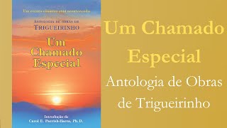 Trigueirinho | Um Chamado Especial