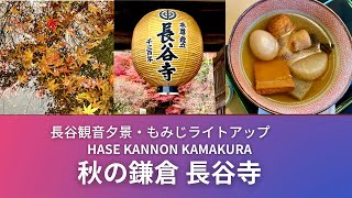 【鎌倉長谷観音】紅葉ライトアップ　鎌倉紅葉めぐり　長谷寺　hasekannon  kamakura おでん関東炊き　日本酒地酒　由比ヶ浜