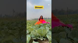 Odia Film Heroine Shivani Sangita Shorts| Ollywood Hub ❤️ #sivanisangita