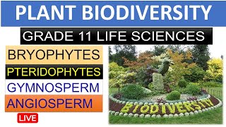 PLANT BIODIVERSITY: GRADE 11 LIFE SCIENCES , BRYOPHYTES,Pteridophyte ETC [THUNDEREDUC] M.SAIDI