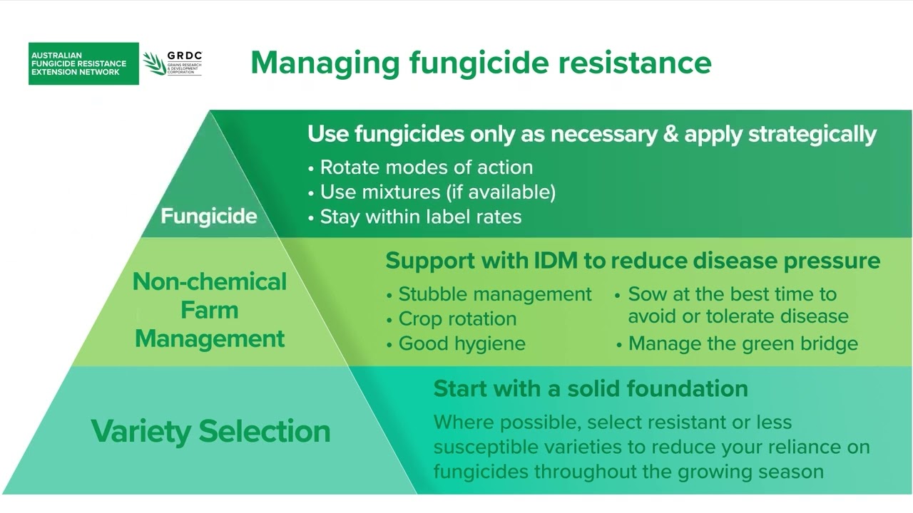 Fungicides Mode Of Action