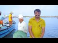 തോട്ടപ്പള്ളി ഹാർബറിലെ മത്സ്യ ലേലം വിളി thottappalli fish harbour fish auction thottappalli