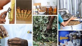 K P S Corporate Profile | Leading manufacturer of Ceylon Cinnamon Essential Oils.