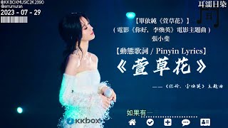 【單依純《萱草花》】 ( 電影《你好，李煥英》電影主題曲 ) - 張小斐 - 翻唱帶歌詞真的很動聽2021 【動態歌詞 / Pinyin Lyrics】