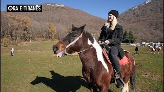 Dajti, mes bukurive natyrore dhe papastërtisë njerëzore - Ora e Tiranes