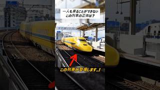 え？日本にあるという黄色い列車の正体