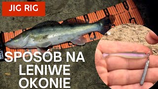 Ultra Light / Jig Rig / Grudzień 2022 / Odra / Leniwe Okonie