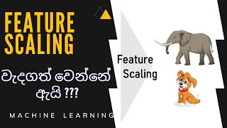 Feature Scaling in Machine Learning | Sinhala