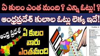 AP Caste Wise Votes: రాష్ట్రంలో ఏ కులస్తులు ఎంత మంది, ఎన్ని ఓట్లు లెక్క! | AP Politics - AP 175