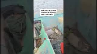 Pará: barco encontrado à deriva com c4dáv3res atraca para perícia
