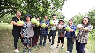 รายการมองรอบทิศกระชับมิตรชุมชน ตอน วิสาหกิจชุมชนส้มโอเวียงแก่นเพื่อการส่งออก จังหวัดเชียงราย