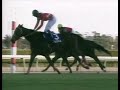 タイキシャトル 1998年 第32回スプリンターズステークス gi 優勝馬：マイネルラヴ 岡部騎手インタビュー付